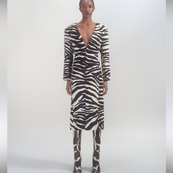 Dries Van Noten Dresses & Skirts - Dries Van Noten Debra Zebra Sheath Dress